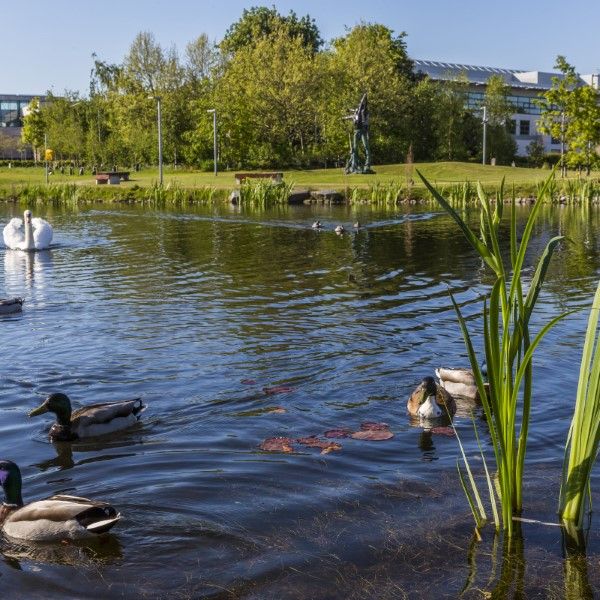 campus 2 (Custom)