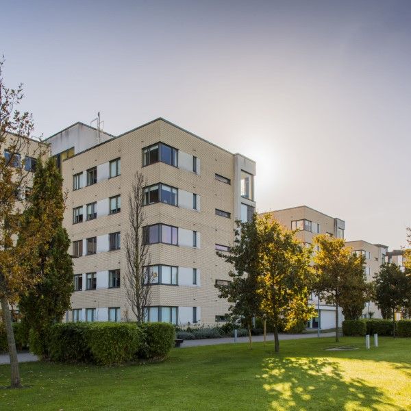 Roebuck Halls (Custom)