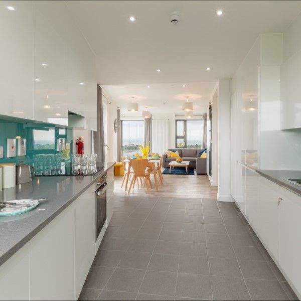 village shared kitchen 3 (Custom)