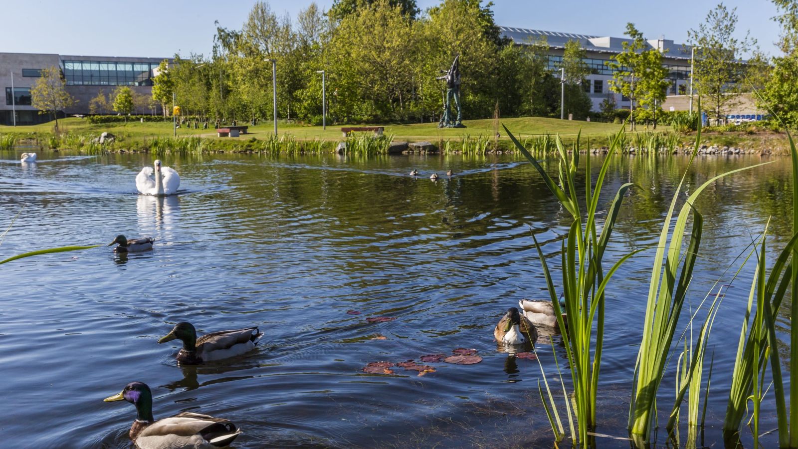campus 2 (Custom) (1)