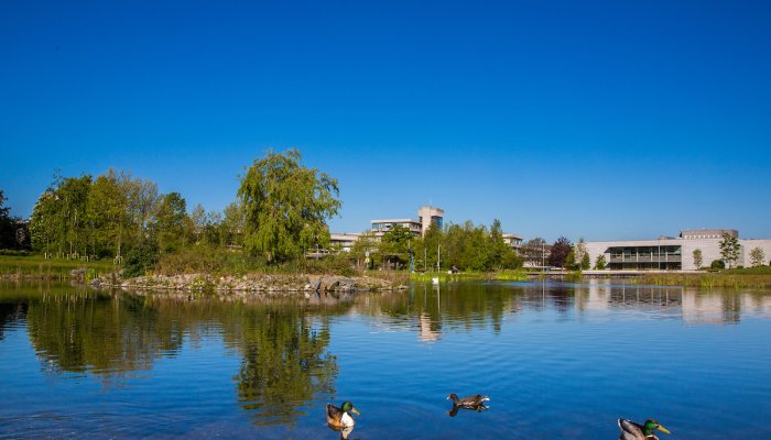 Ucd new lake with ducks University College Dublin